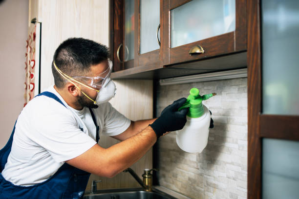 Pest Control Cost in Pinckneyville, IL